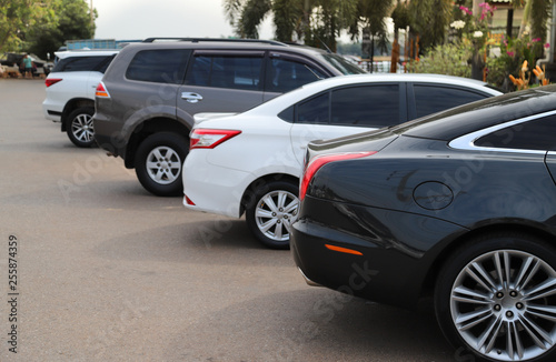 Closeup of back or rear side of black car and other cars parking in parking area in sunny day. 