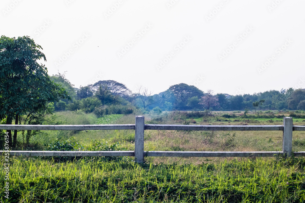 cowboy fence against field forest perfect nature spring summer