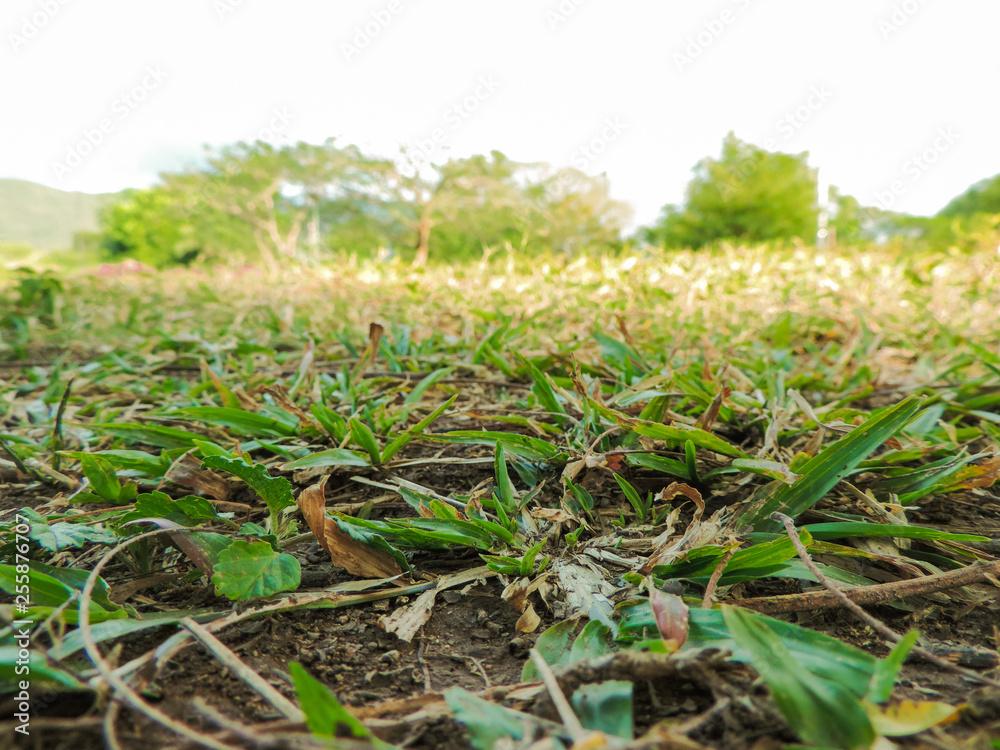 Obraz premium Ground zero