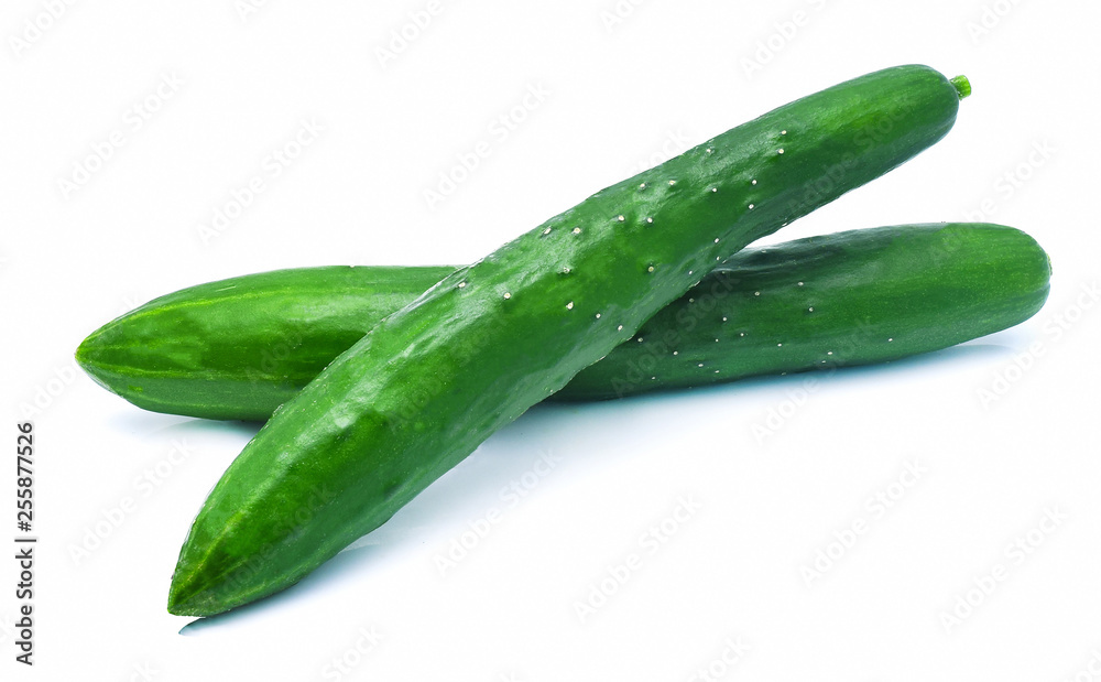 Japanese cucumber isolated on white background Japanese cucumber isolated on white background
