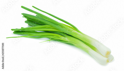 fresh scallion isolated on white background