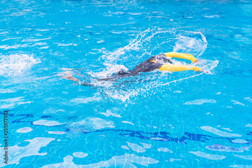 dynamic and fit swimmer in cap breathing performing the butterfly stroke. Butterfly posture.
