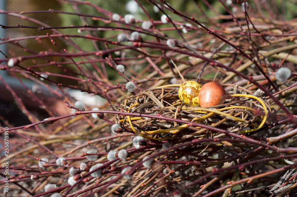 Dyed quail eggs in a nest on willow branches. Dyed quail eggs in a nest on willow branches.