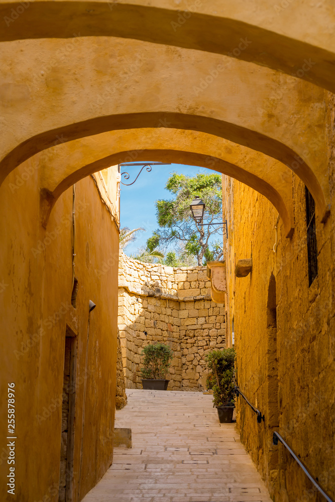 Obraz premium Narrow street in VIctoria, Gozo, Malta