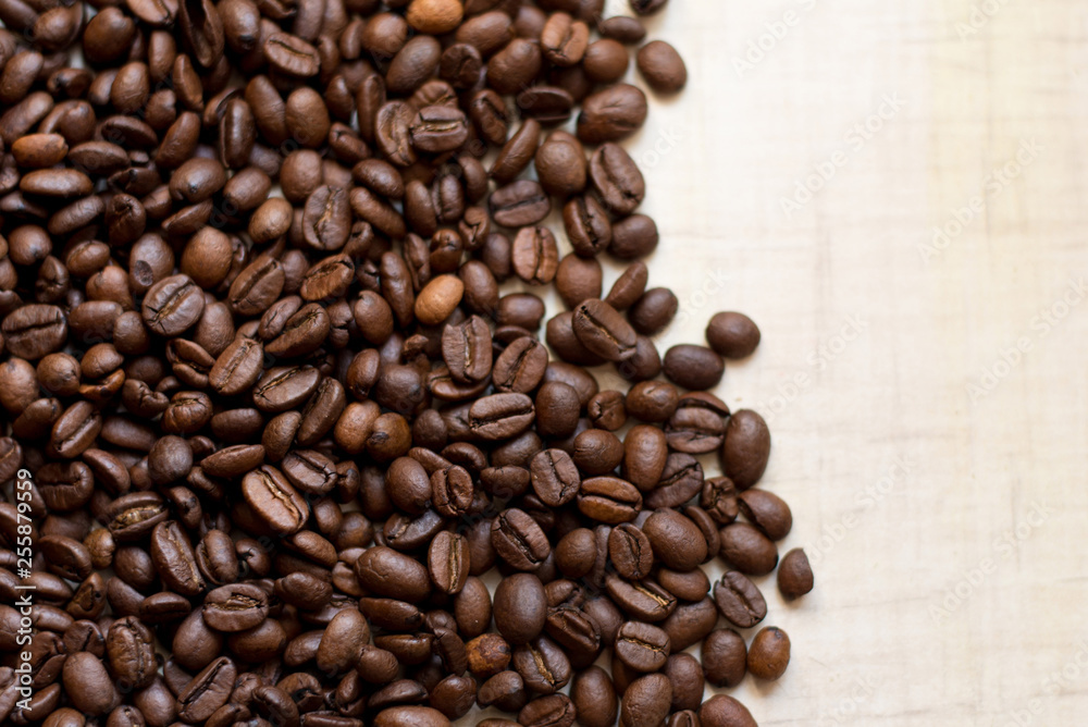 Coffee beans isolated on light background with place for text