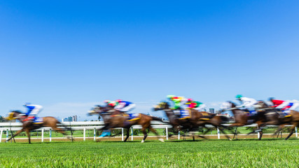 Horse Raceing Speed Motion Blur