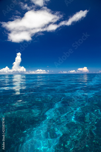 透明度の高いサンゴ礁の海