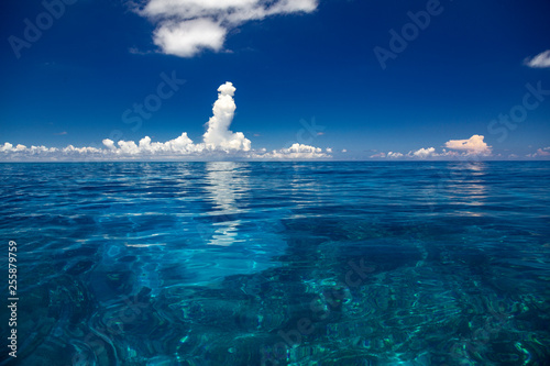 透明度の高いサンゴ礁の海