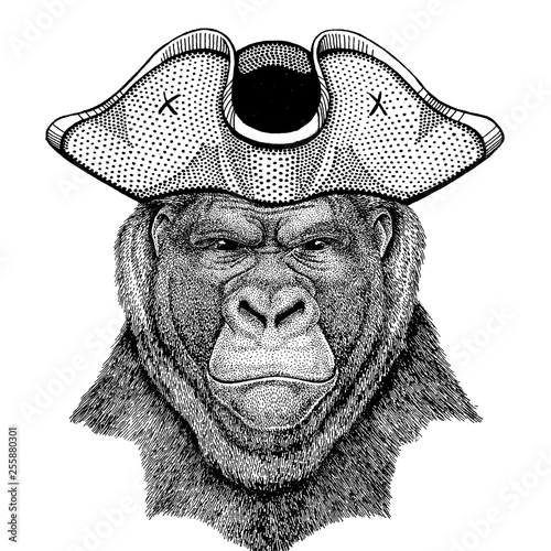 Gorilla, monkey, ape