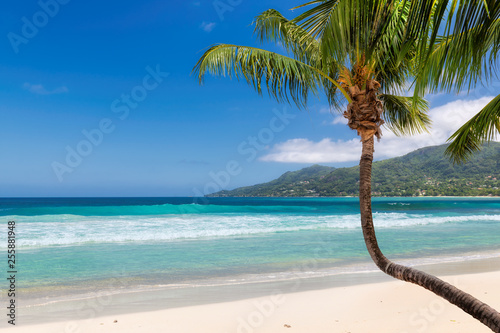 Tropical beach with coco palm in Beau Vallon Beach  Mahe  Seychelles. 