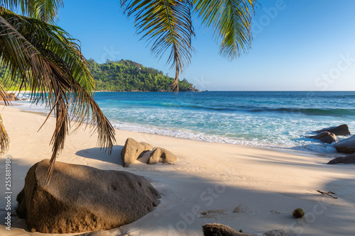 Tropical beach at sunset with coco palms in Seychelles. Summer vacation and travel concept. 