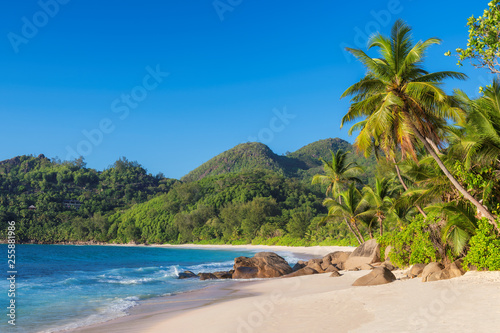 Tropical beach at sunset with coco palms in Seychelles. Summer vacation and travel concept.  