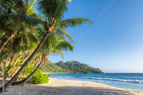 Fototapeta Naklejka Na Ścianę i Meble -  Exotic tropical beach on Paradise island. Summer vacation and travel concept.