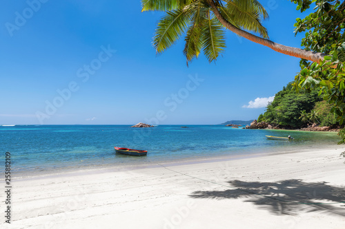 Exotic sandy beach with Coco palms and the turquoise sea on Seychelles Paradise island.