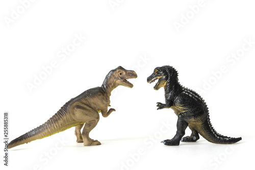 various dinosaurs figure out the relationship