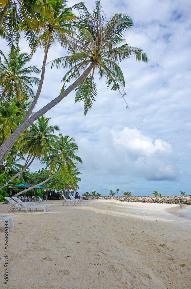 Fototapeta premium ocean coast on Maldives with white sand and clear water
