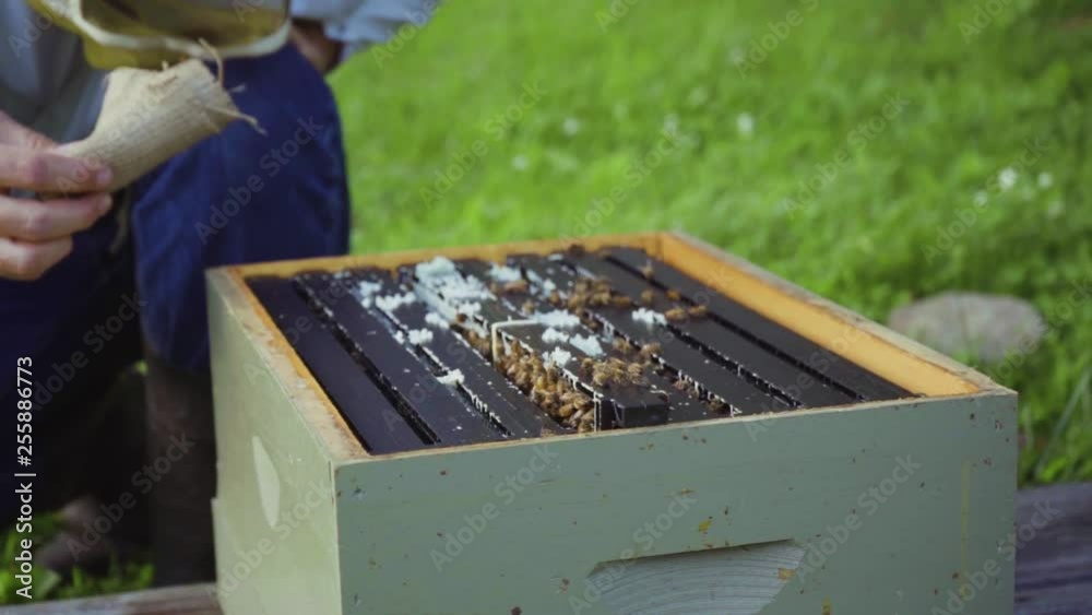 beekeeper in slow motion close up of bees beekeeper in slow motion close up of bees