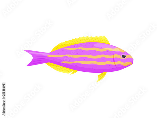 Pink fish on white background. Water life.