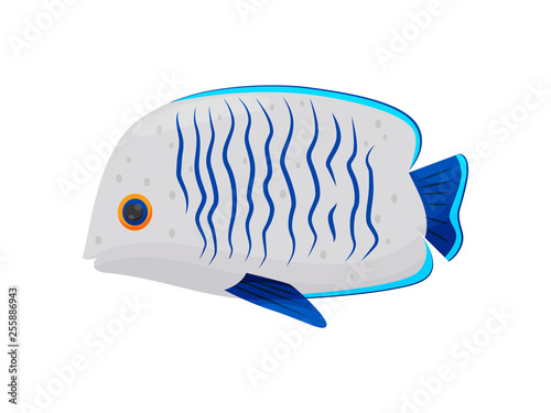 Cartoon fish on white background. Vector illustration.