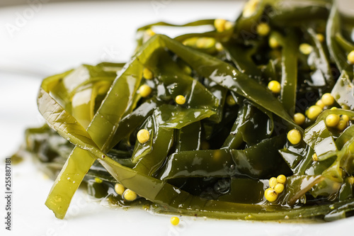 Obraz na plátně Seaweed salad.