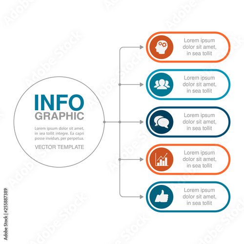 Vector iInfographic template for business, presentations, web design, 5 options.