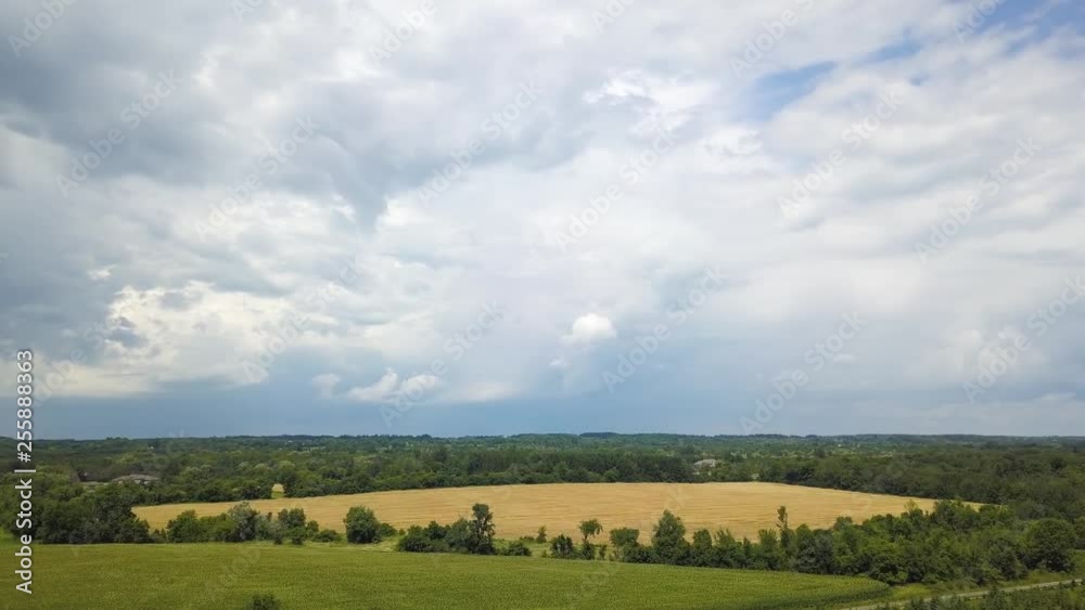 Beatifull wheat and grass field, country summer dark stormy clouds background Beatifull wheat and grass field, country summer dark stormy clouds background