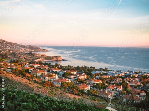 Panorama of Los Angeles, the coast and coastal houses photographed from the hill, everywhere palm trees, ocean