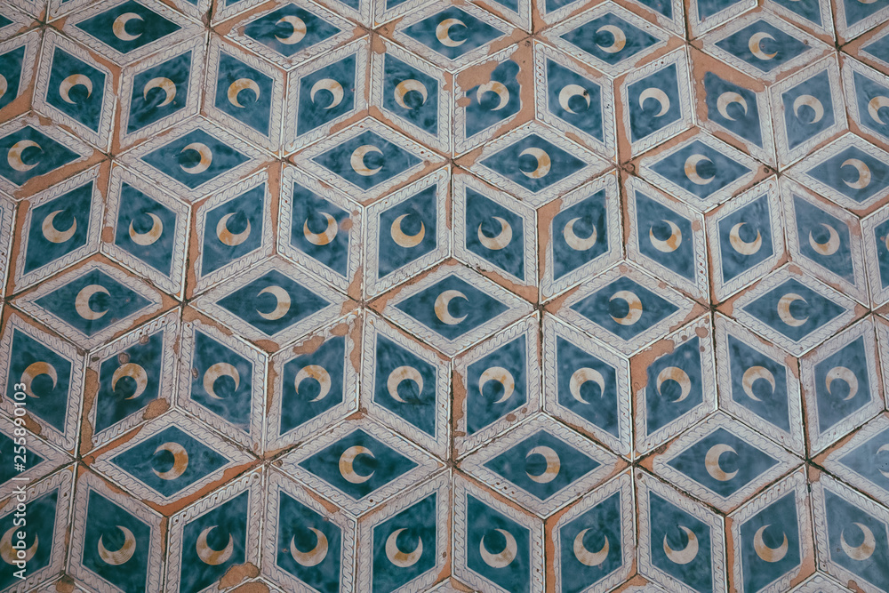 Closeup floor in Siena Cathedral (Duomo di Siena)
