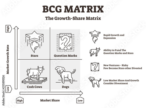 BCG matrix vector illustration. Outlined cash cows and dogs Boston graphic. photo