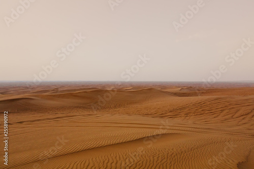 beautiful Arabian desert landscape
