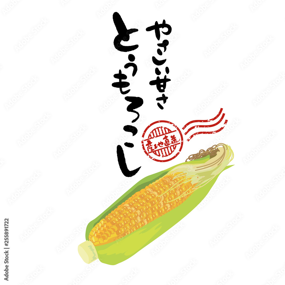 とうもろこし イラスト 夏野菜 Stock Vector Adobe Stock