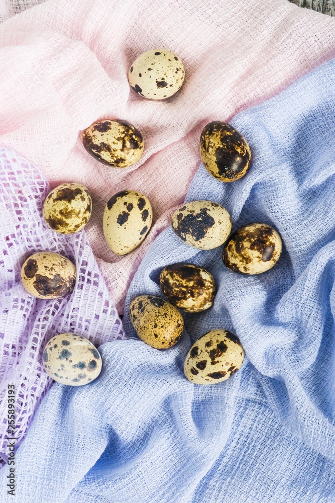 Quail eggs on pastel background. Easter decoration. Flat lay, top view, copy space. Quail eggs on pastel background. Easter decoration. Flat lay, top view, copy space.