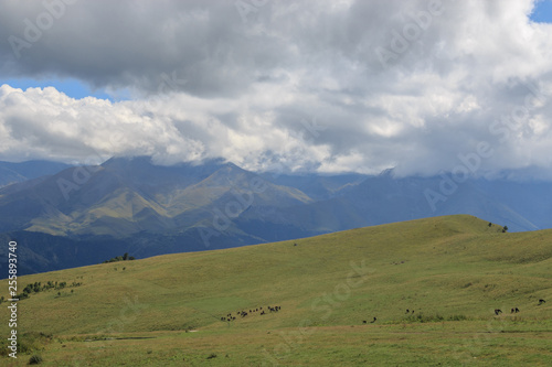 Panorama view of mountains and valley scenes in national park Dombay