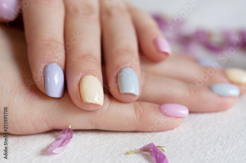 well-groomed  manicured fingers in pastel colors of the hand lie in the cut of petals and in the color of chrysanthemum