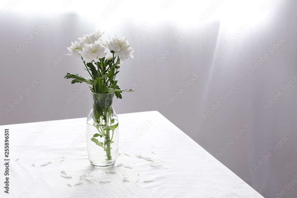 Fototapeta Fresh flowers in vase on table in room