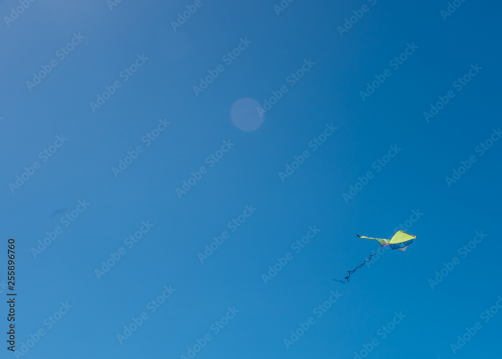 Fototapeta premium Kite Flying in a Clear Blue Sunny Sky