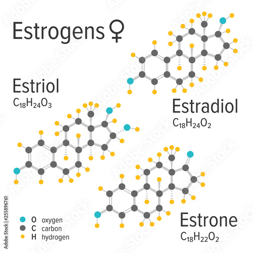 Estrogens vector chemical formulas. Estradiol, estriol and estrone female steroid harmones. Chemical molecular model. photo