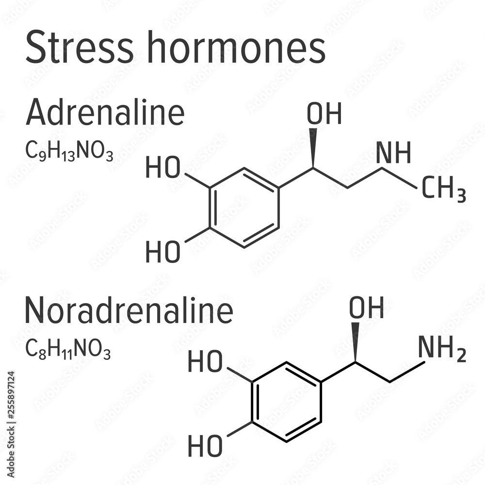 Adrenaline and noradrenaline vector chemical formulas. Stress harmones