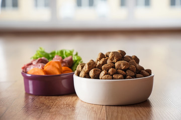 Bowls with dry and fresh pet food on floor