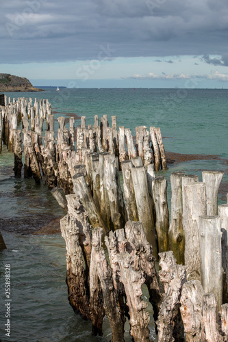 Big breakwater, 3000 trunks to defend the city from the tides, Plage de l'Éventail beach in Saint-Malo, Ille-et-Vilaine, Brittany, France