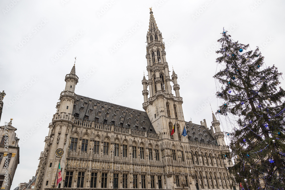 Fototapeta premium Ratusz in Brussel, Belgium