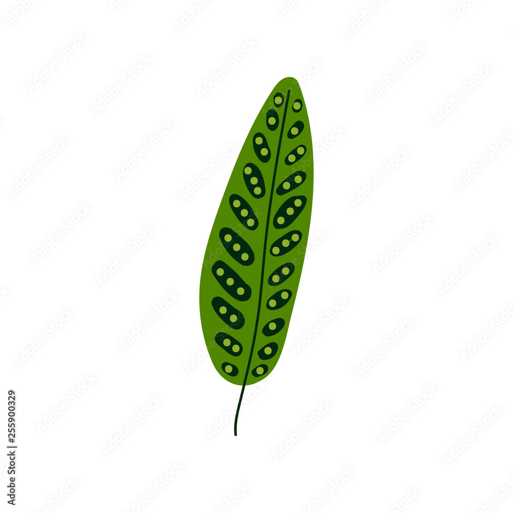 Tropical Palm Tree Leaf, Green Botanical Design Element Vector Illustration Tropical Palm Tree Leaf, Green Botanical Design Element Vector Illustration