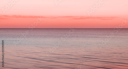 Idyllic calm sea horizon landscape with seagulls background