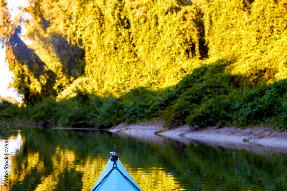 Prow (bow, nose) of blue kayak against of overgrown green thick thickets of trees and wild grapes illuminated by the rays of the setting sun at the shore of Danube river