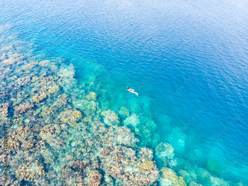 Fototapeta premium Aerial top down people snorkeling on coral reef tropical caribbean sea, turquoise blue water. Indonesia Banyak Islands Sumatra, tourist diving travel destination.