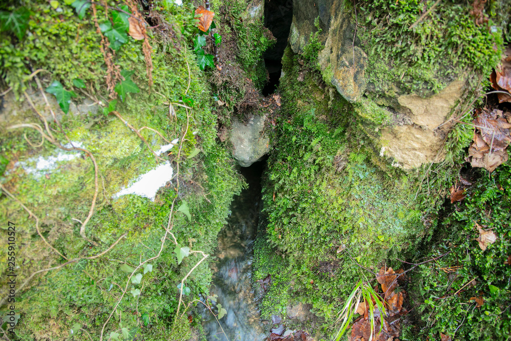 stones covered with moss stones covered with moss