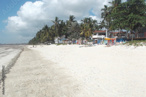 coast beach