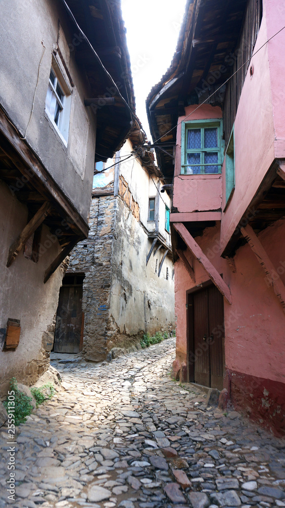 Obraz premium Historic Narrow Street with Ottoman Houses in a Turkish Village Cumalikizik Bursa Turkey 