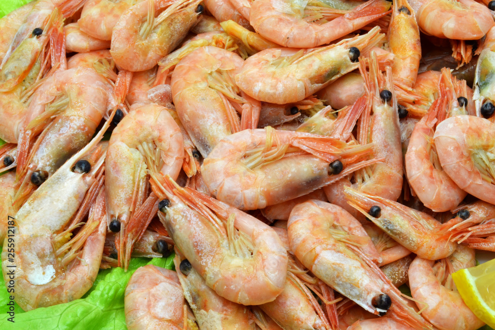 shrimp on a plate salad