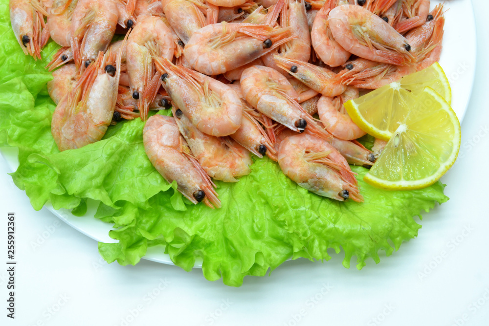 shrimp on a plate salad shrimp on a plate salad